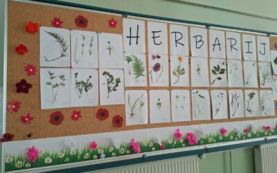 Baranjski livadski svijet u interijeru škole