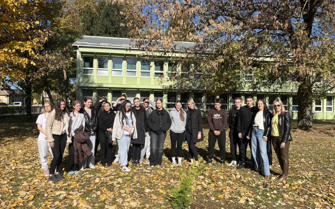 Drvo generacije – simbol zajedništva i rasta